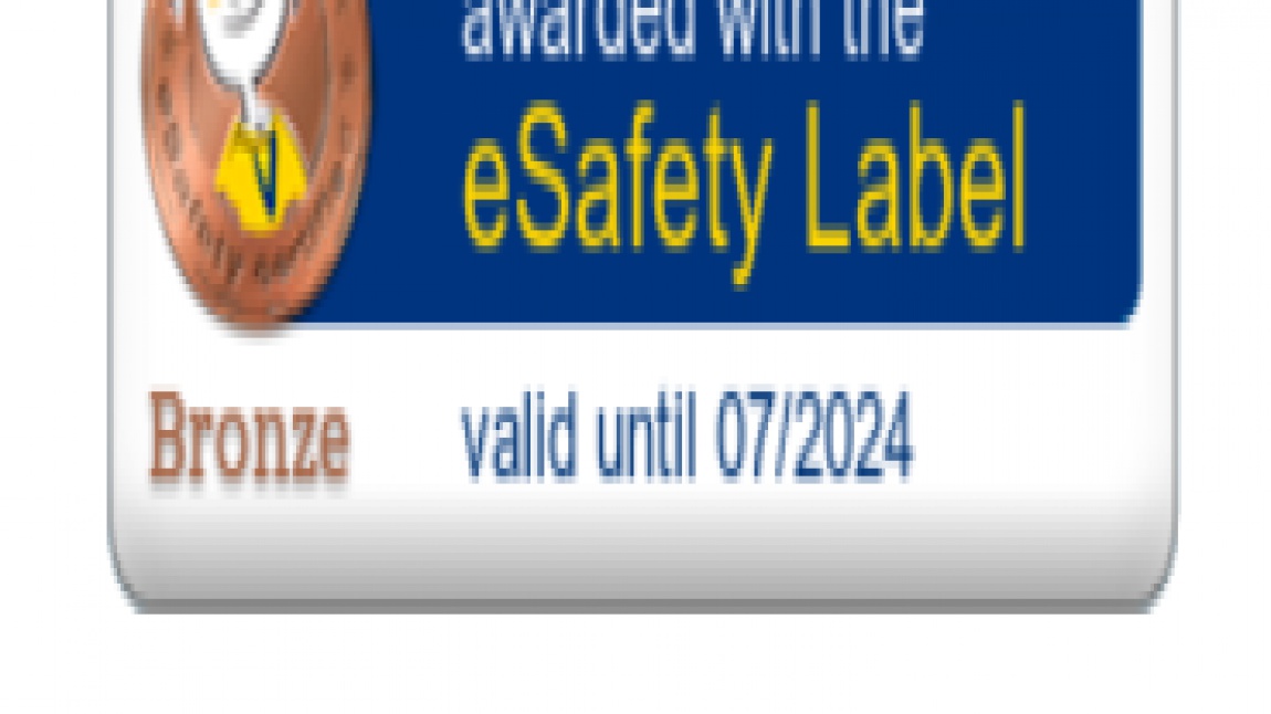 e-Güvenlik Bronz Etiketimiz
